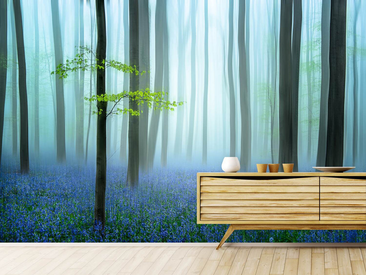 photo-wallpaper-the-blue-forest