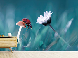 photo-wallpaper-the-story-of-the-lady-bug