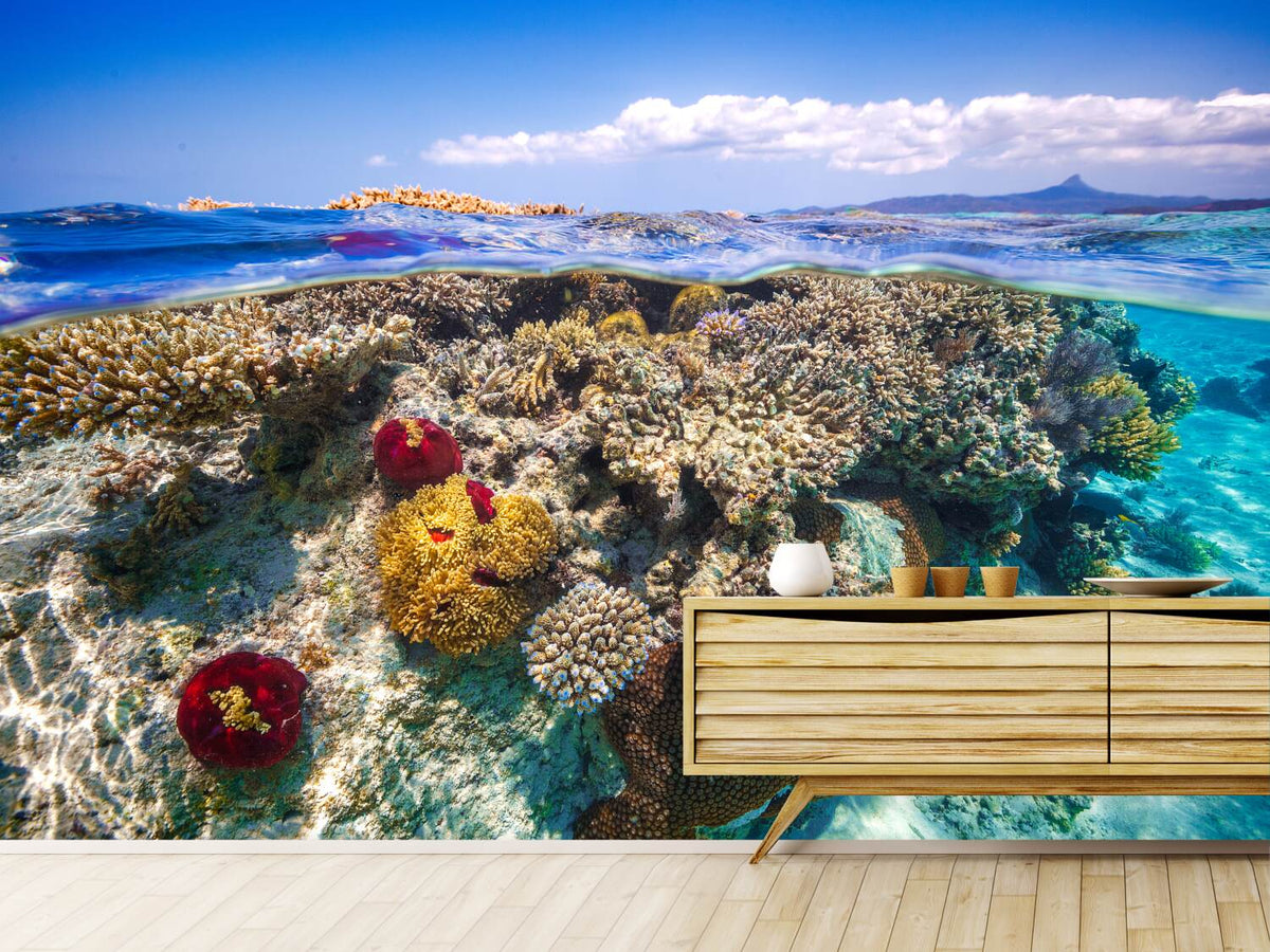 photo-wallpaper-mayotte-the-reef