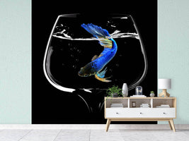 photo-wallpaper-betta-fish-dance