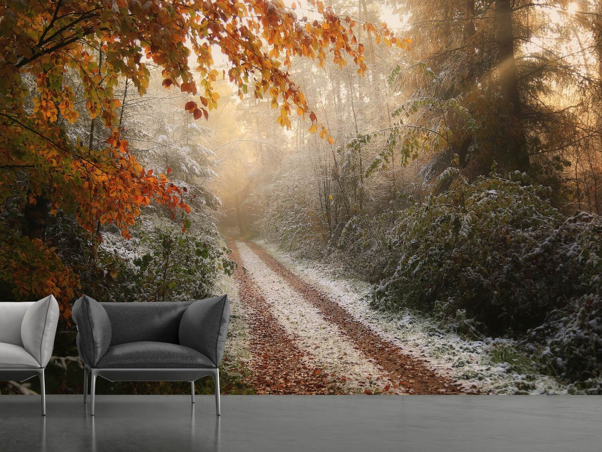 photo-wallpaper-frosty-fall-x