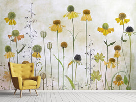 photo-wallpaper-helenium