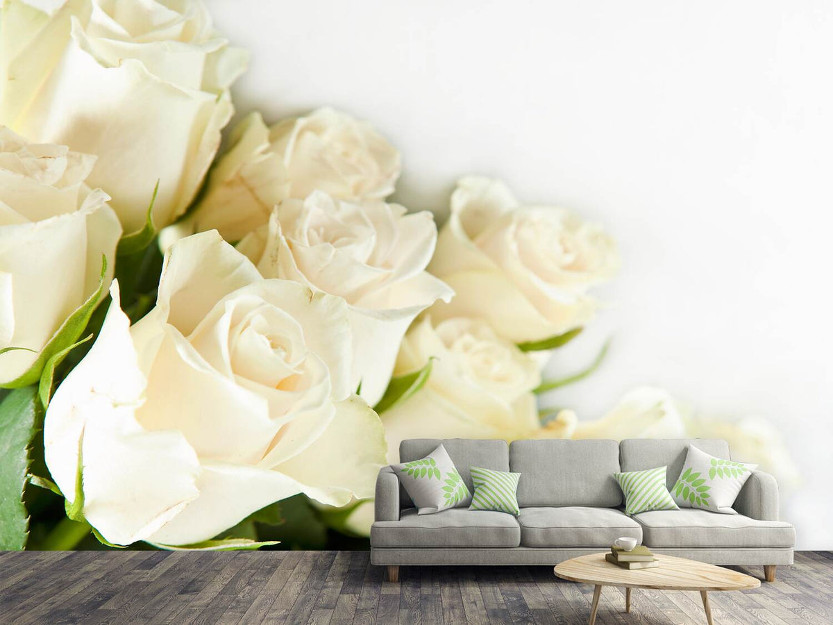 photo-wallpaper-white-roses