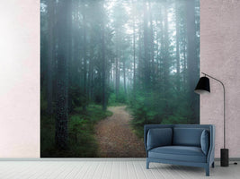 photo-wallpaper-the-forest-of-secrets