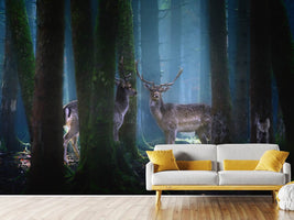 photo-wallpaper-deers