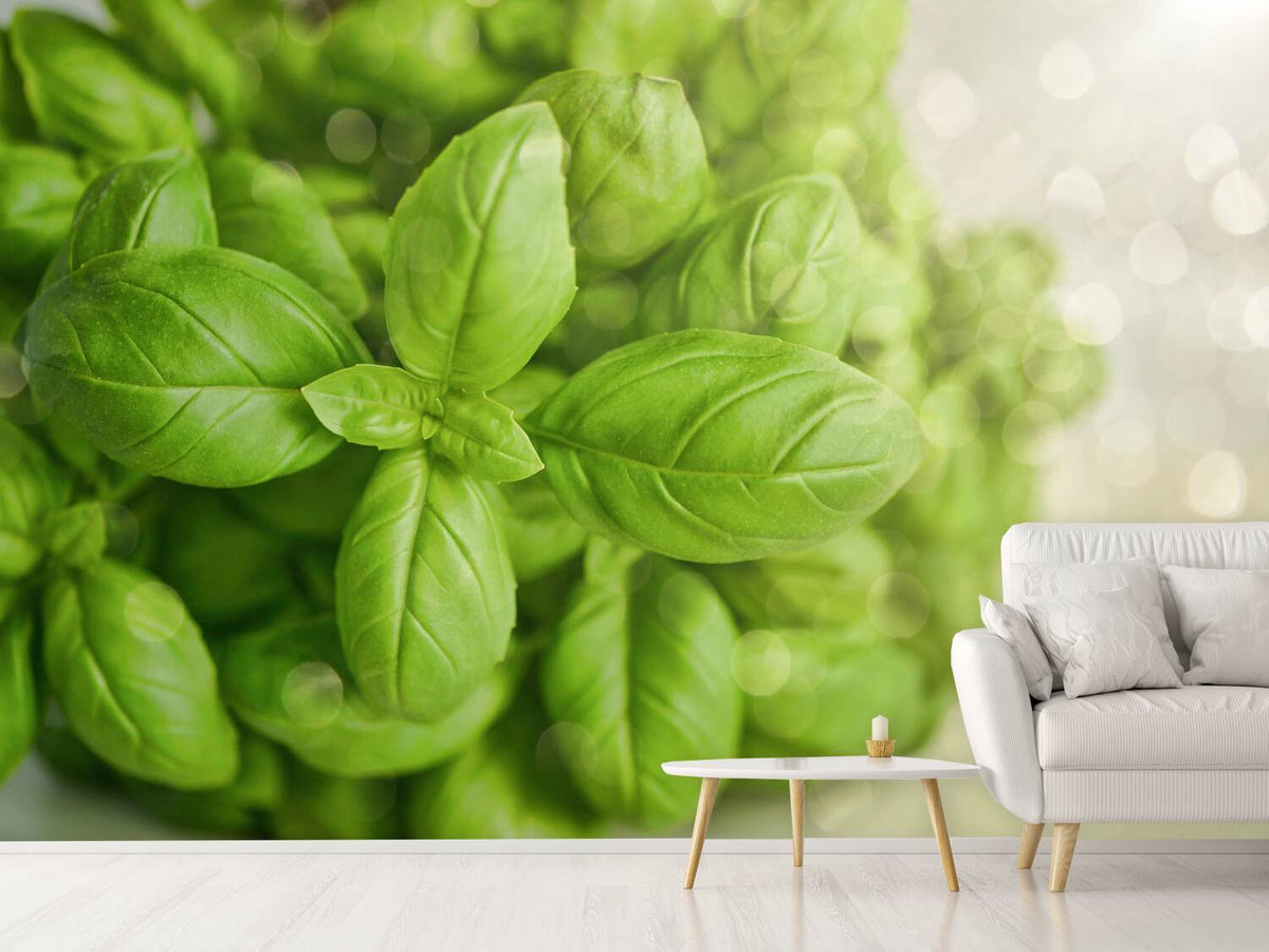 photo-wallpaper-a-bouquet-of-basil