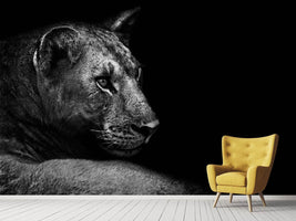 photo-wallpaper-lion