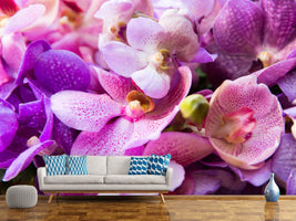 photo-wallpaper-orchid-paradise