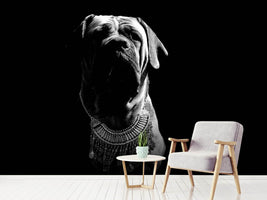 photo-wallpaper-the-boerboel-sw