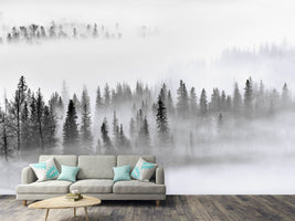 photo-wallpaper-foggy-forest