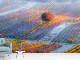 photo-wallpaper-breath-of-winter-x