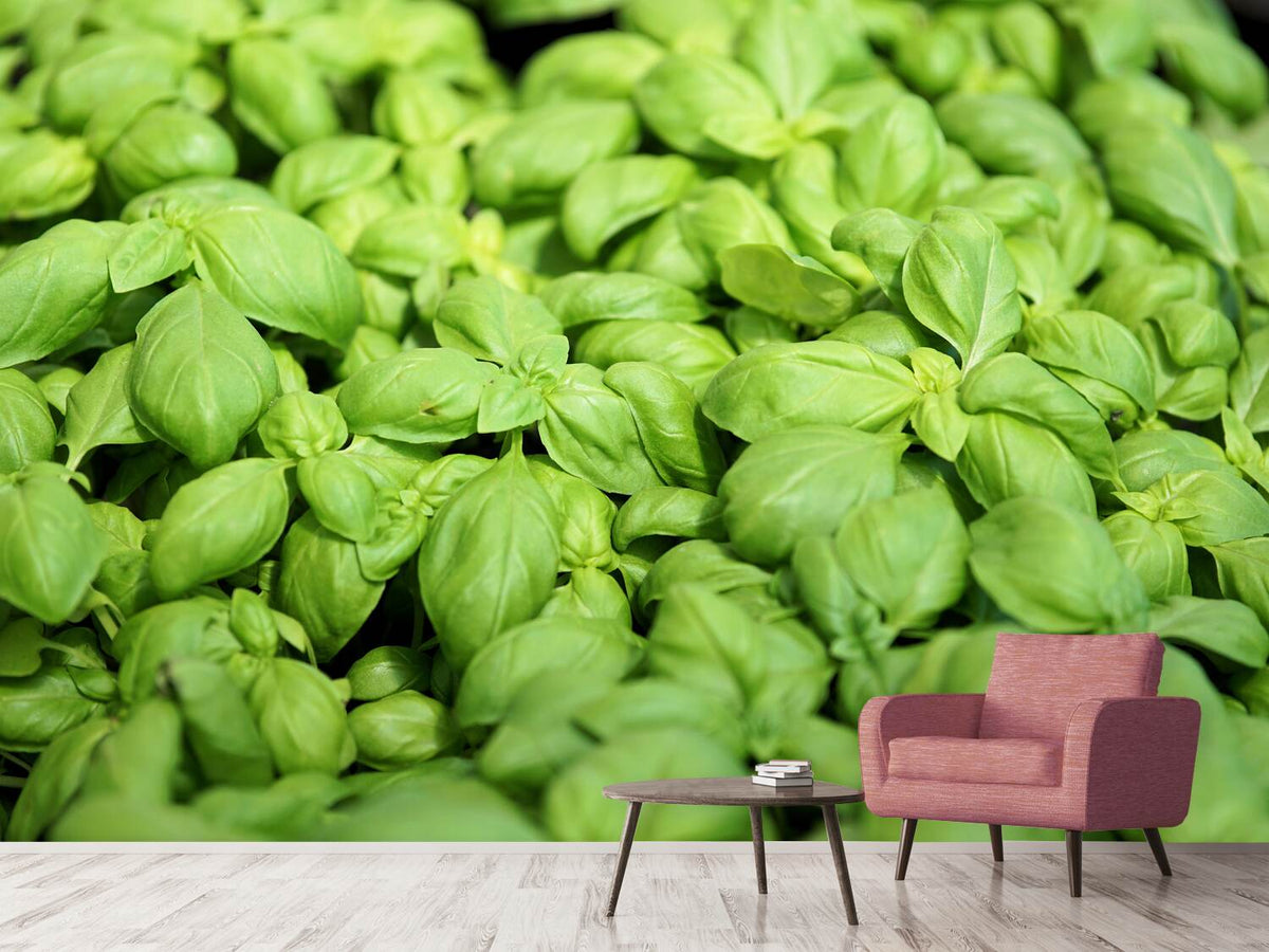 photo-wallpaper-all-basil