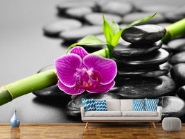 photo-wallpaper-feng-shui-orchid