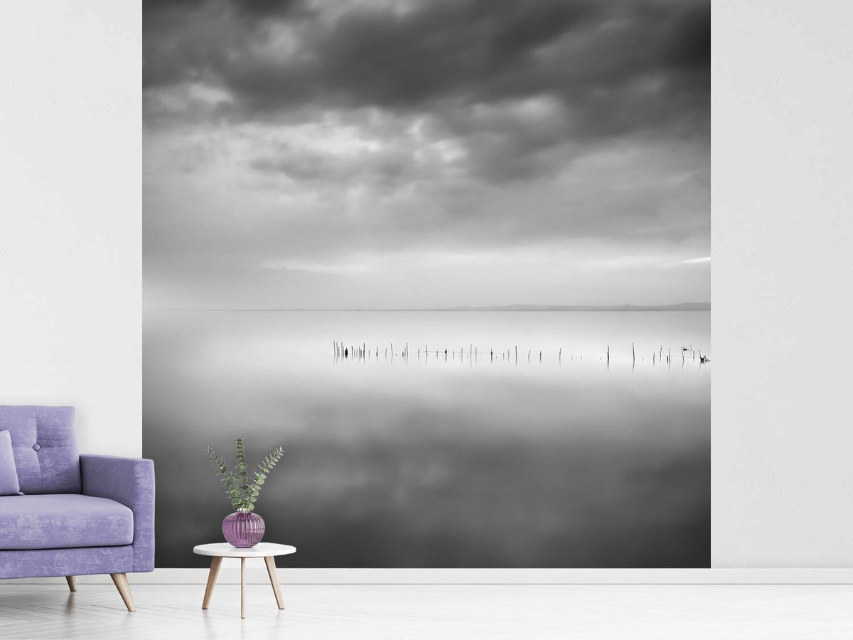 photo-wallpaper-sixty-shades-of-gray