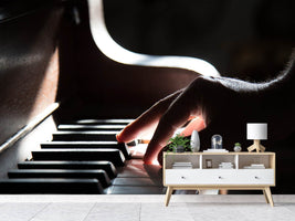 photo-wallpaper-piano-player