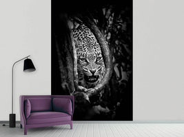 photo-wallpaper-leopards-lair