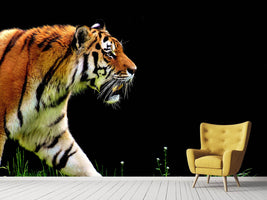 photo-wallpaper-imposing-tiger