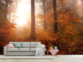 photo-wallpaper-autumn-xpi