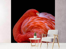 photo-wallpaper-flamingo-a