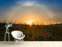 photo-wallpaper-red-poppies-and-sunrise