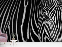 photo-wallpaper-stripes-xgh