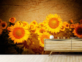 photo-wallpaper-retro-sunflower