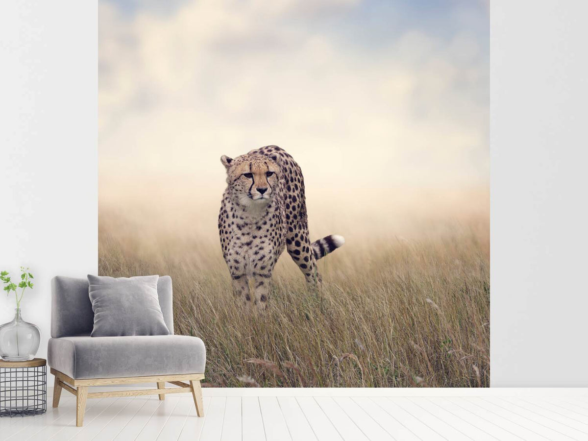 photo-wallpaper-the-cheetah