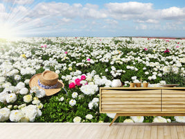 photo-wallpaper-spring-flower-meadow