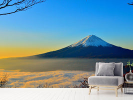 photo-wallpaper-imposing-mount-fuji