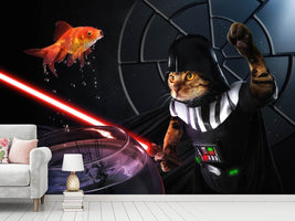 photo-wallpaper-darth-sushi