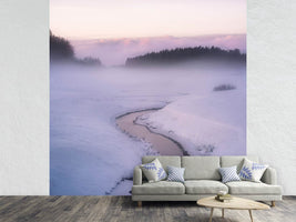 photo-wallpaper-winters-mystique