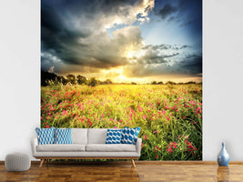 photo-wallpaper-flowers-landscape