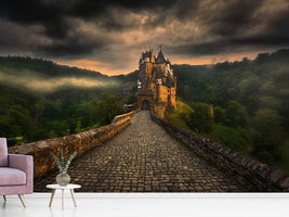 photo-wallpaper-eltz