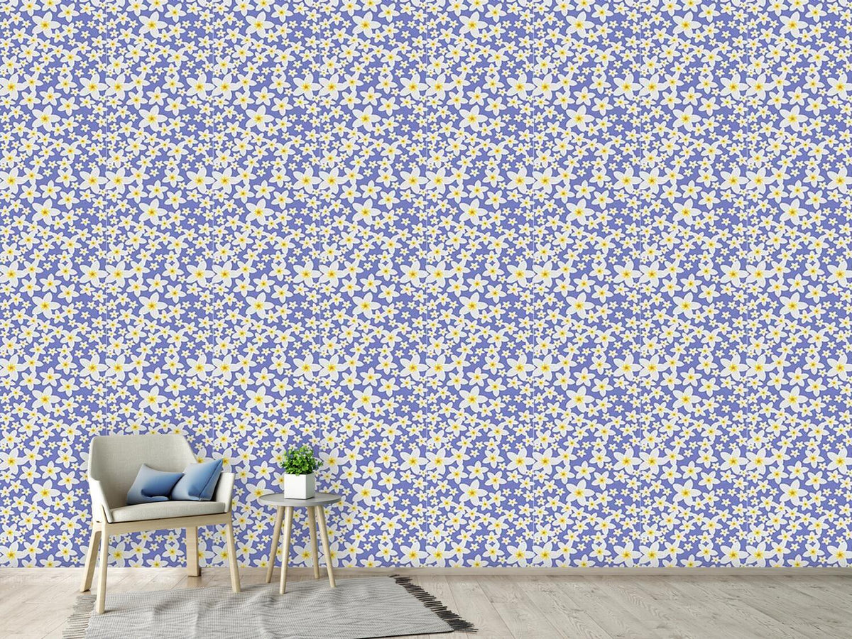 patterned-wallpaper-frangipani-bloom