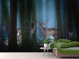 photo-wallpaper-deers