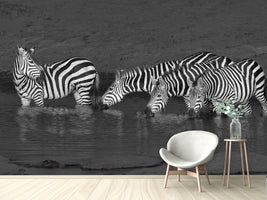 photo-wallpaper-zebras-drinking-x