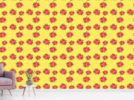 patterned-wallpaper-poinsettia-in-bloom