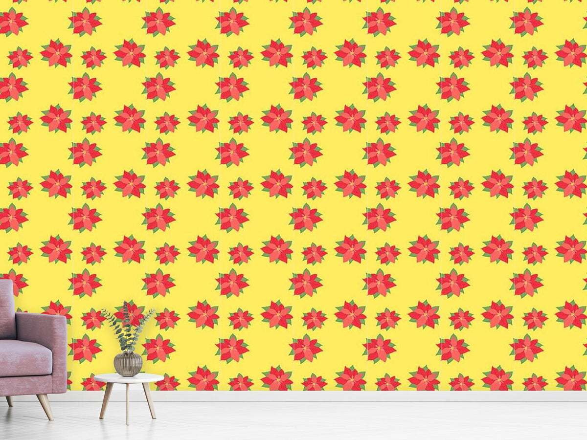 patterned-wallpaper-poinsettia-in-bloom