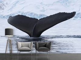 photo-wallpaper-the-humpback-whale