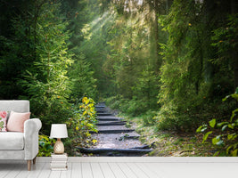 photo-wallpaper-a-path-between-firs