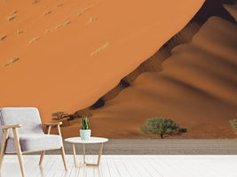 photo-wallpaper-dune-y