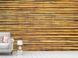 photo-wallpaper-horizontal-bamboo-wall