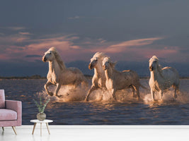 photo-wallpaper-angels-of-camargue