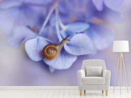 photo-wallpaper-little-snail-on-hydrangea-x