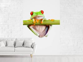 photo-wallpaper-frog-acrobatics