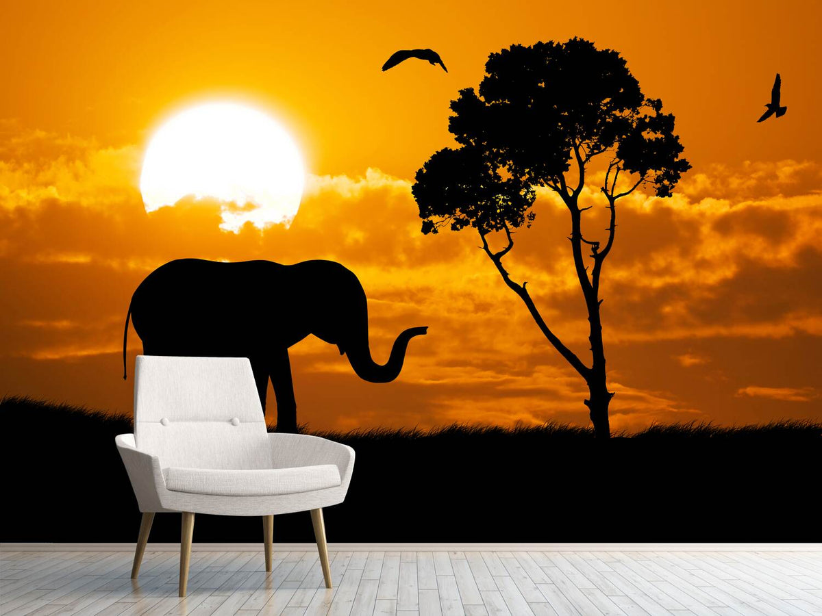 photo-wallpaper-dreamy-africa