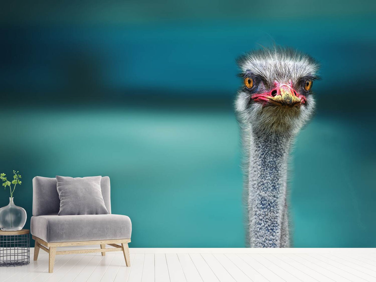 photo-wallpaper-ostrich-protecting-two-poor-chicken-from-the-wind