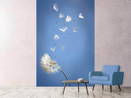 photo-wallpaper-dandelion-xl