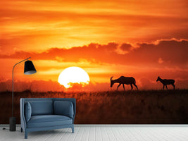 photo-wallpaper-sun-rise-x