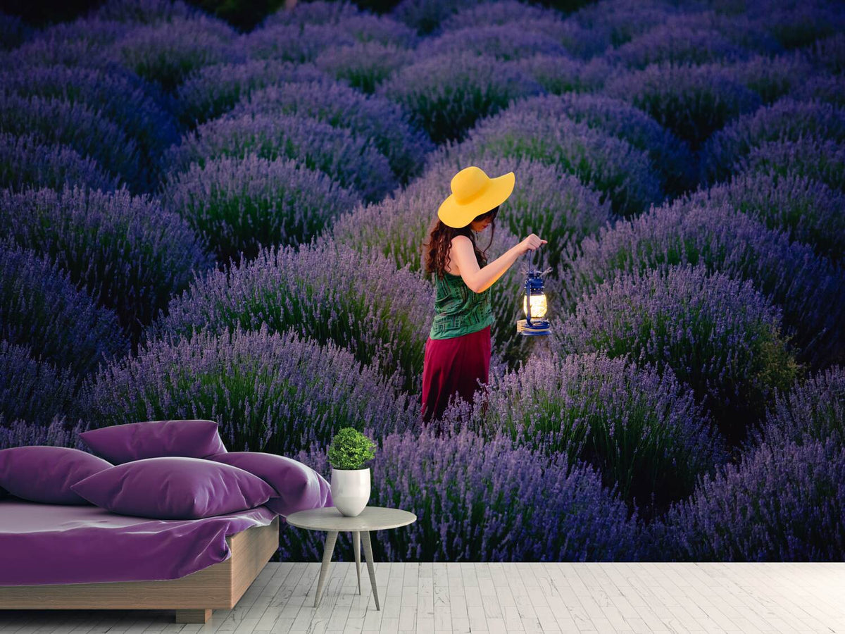 photo-wallpaper-lavender